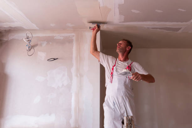 Best Water-Damaged Drywall Repair  in Minier, IL